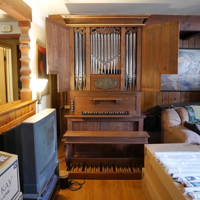 Organ